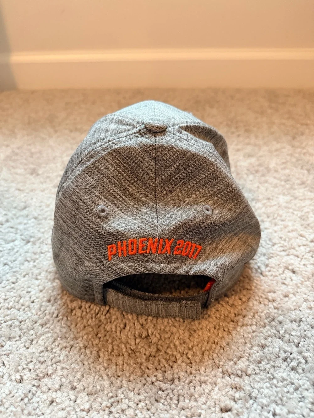 South Carolina Gamecocks baseball hat